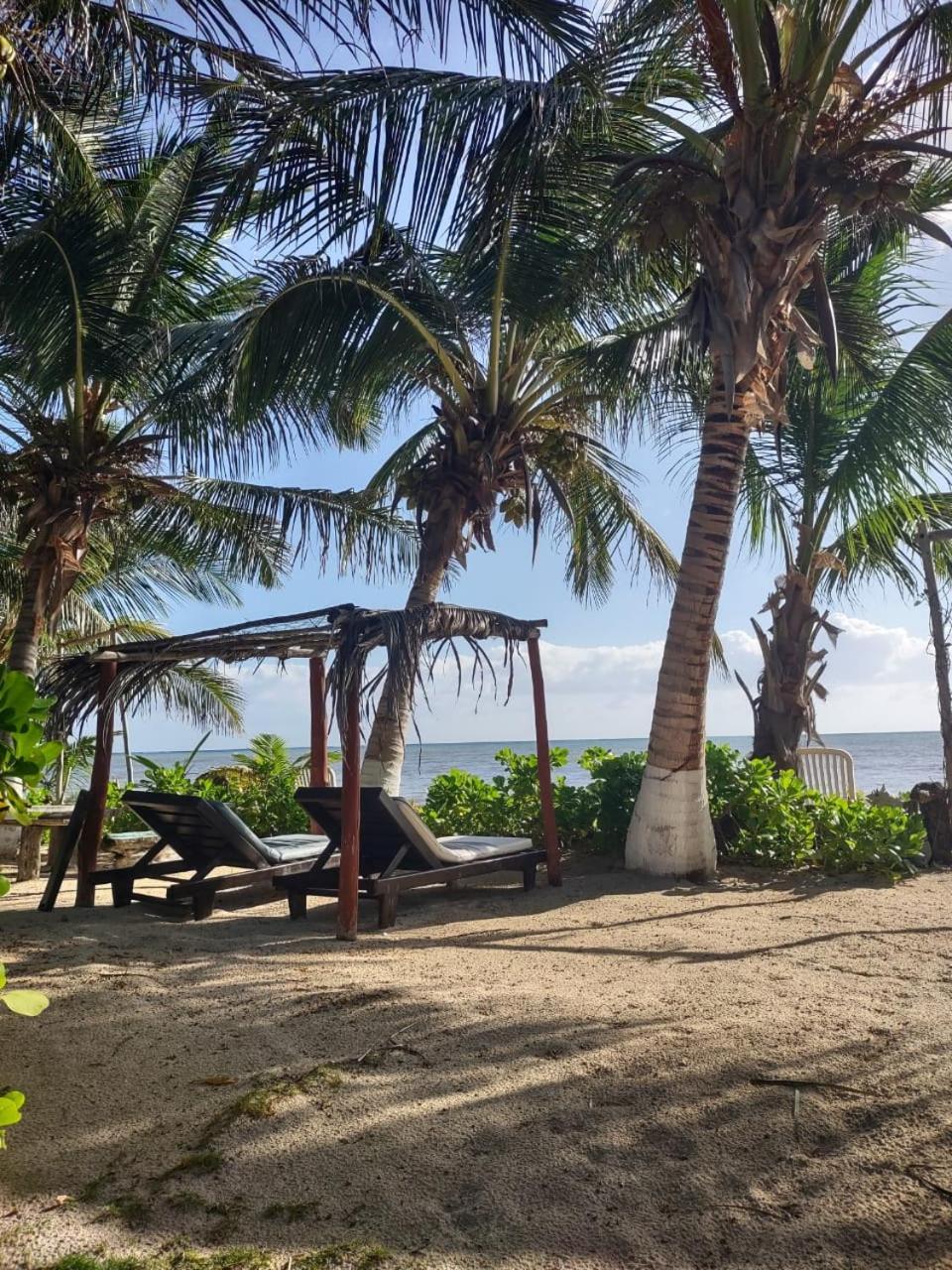 Lunazul Eco-Cabana Frente Al Mar 玛哈威 外观 照片