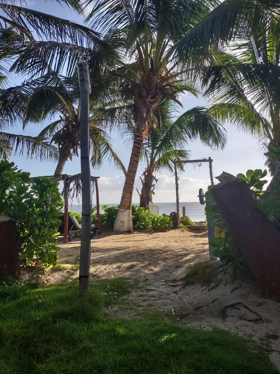 Lunazul Eco-Cabana Frente Al Mar 玛哈威 外观 照片