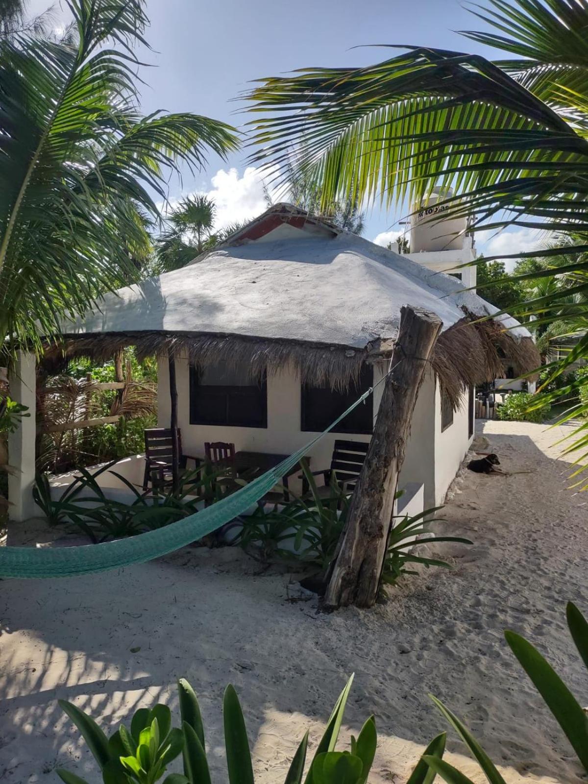 Lunazul Eco-Cabana Frente Al Mar 玛哈威 外观 照片
